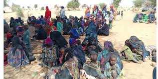niger idp